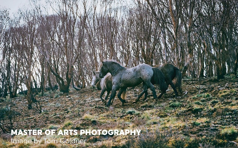 Master of Arts Photography